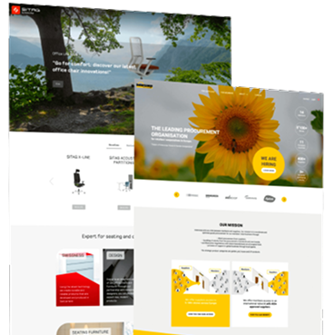 Corporate Websites